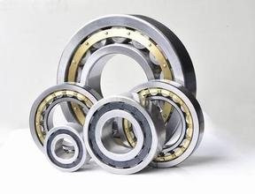190RF92 MUC5144 Single Row Cylindrical Roller Bearing 190x340x114.3mm