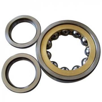 135RIF580 7602-0212-91 Single Row Cylindrical Roller Bearing 342.9x457.2x57.15mm