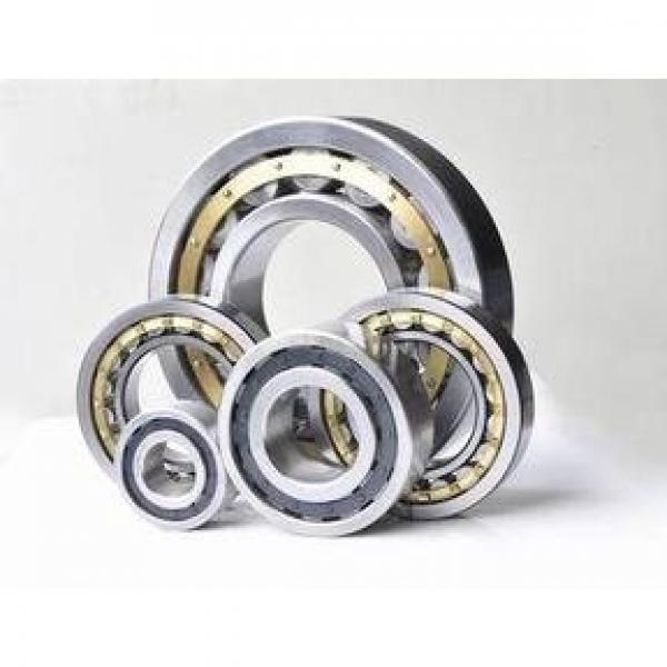 190RU02 10-6418 Single Row Cylindrical Roller Bearing 190x340x55mm #1 image