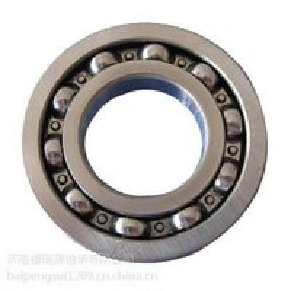 300RT02 IB-678 Single Row Cylindrical Roller Bearing 300x540x85mm #1 image